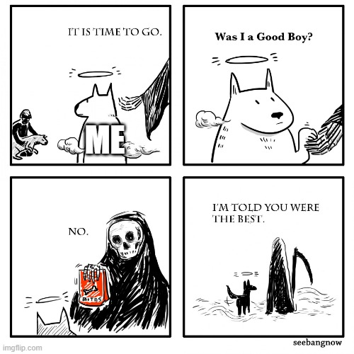 Can you rate how I was for my 3 day office? | ME | image tagged in was i a good boy | made w/ Imgflip meme maker