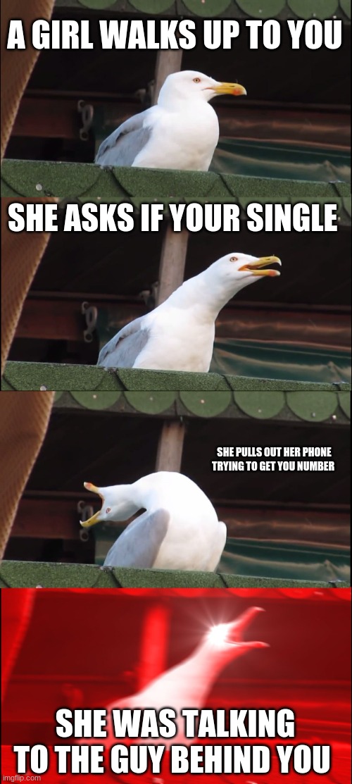 Inhaling Seagull Meme | A GIRL WALKS UP TO YOU; SHE ASKS IF YOUR SINGLE; SHE PULLS OUT HER PHONE TRYING TO GET YOU NUMBER; SHE WAS TALKING TO THE GUY BEHIND YOU | image tagged in memes,inhaling seagull | made w/ Imgflip meme maker