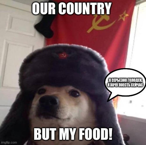 Communist dog | OUR COUNTRY; Я СЕРЬЕЗНО ГОЛОДЕН, Я ХОЧУ ПОЕСТЬ СЕЙЧАС; BUT MY FOOD! | image tagged in communist dog | made w/ Imgflip meme maker