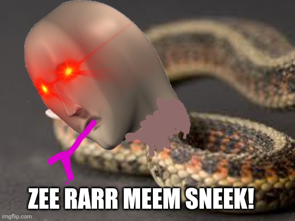 Meme mans zoo |  ZEE RARR MEEM SNEEK! | image tagged in warning snake,meme man,snek,zoo | made w/ Imgflip meme maker