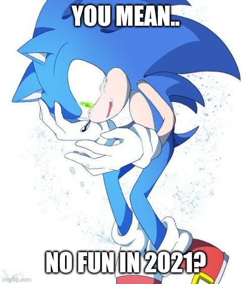 Truly upcoming sad moment | YOU MEAN.. NO FUN IN 2021? | image tagged in sad sonic,sonic the hedgehog,memes | made w/ Imgflip meme maker