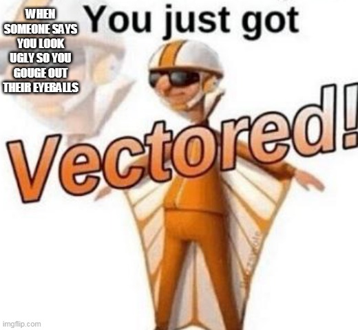 You just got vectored | WHEN SOMEONE SAYS YOU LOOK UGLY SO YOU GOUGE OUT THEIR EYEBALLS | image tagged in you just got vectored | made w/ Imgflip meme maker