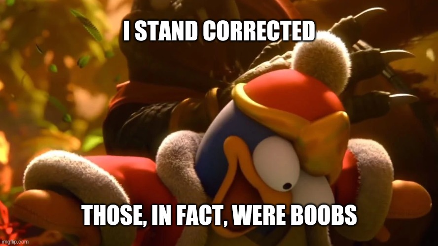 oops lol | I STAND CORRECTED; THOSE, IN FACT, WERE BOOBS | image tagged in i can't breathe lmao | made w/ Imgflip meme maker