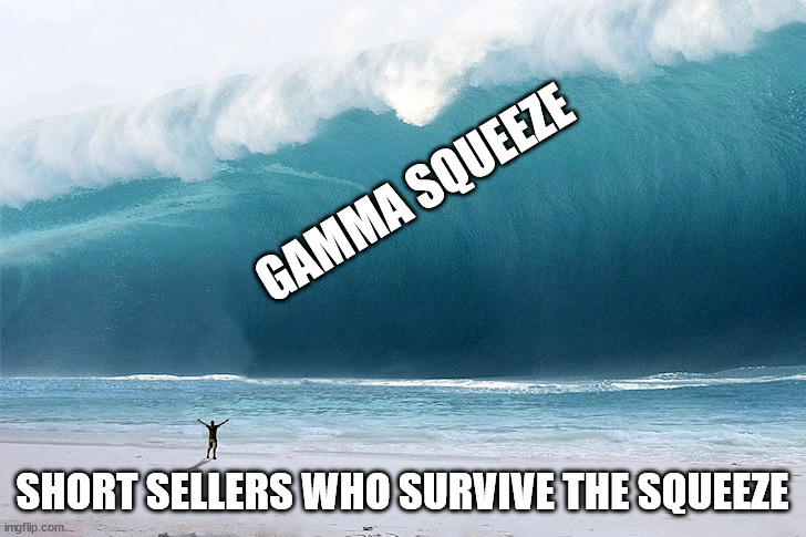 Short Sellers | GAMMA SQUEEZE; SHORT SELLERS WHO SURVIVE THE SQUEEZE | image tagged in tsunami,amc,gamma,squeeze | made w/ Imgflip meme maker