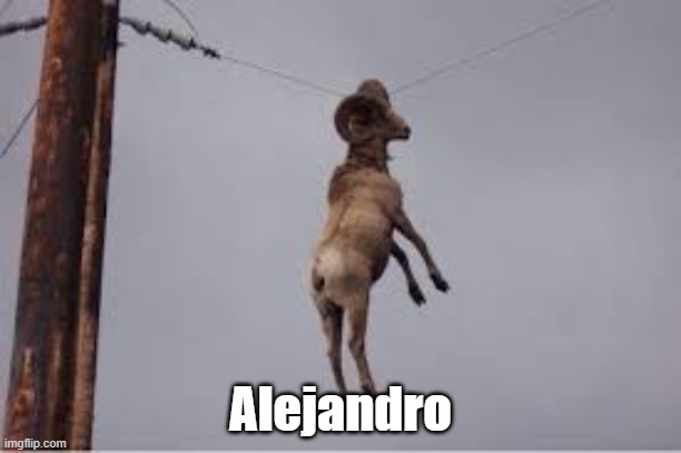 Alejandro | image tagged in memes | made w/ Imgflip meme maker