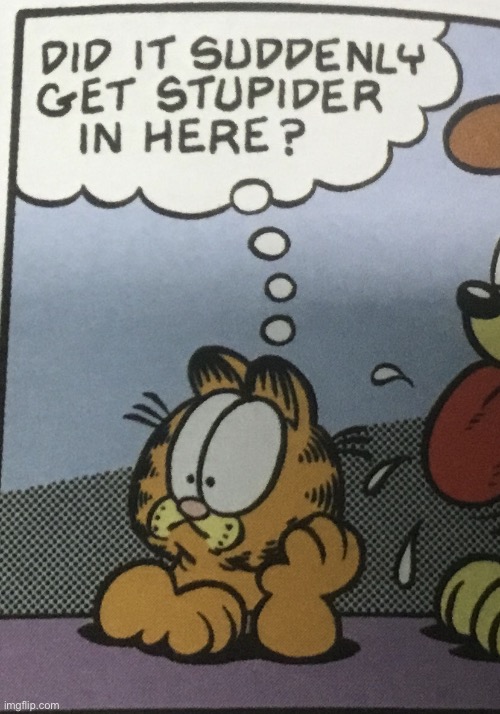 My new template | image tagged in did it suddenly get stupider in here | made w/ Imgflip meme maker
