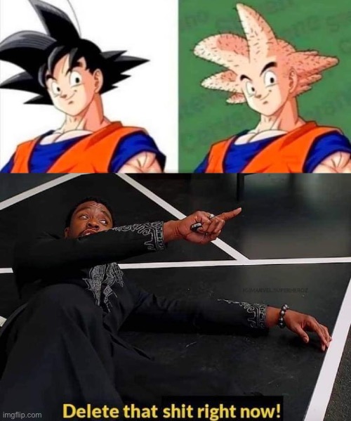 oof | image tagged in goku can t unsee,t'challa delete that shit right now,goku,can't unsee,unsee,dragonball z | made w/ Imgflip meme maker