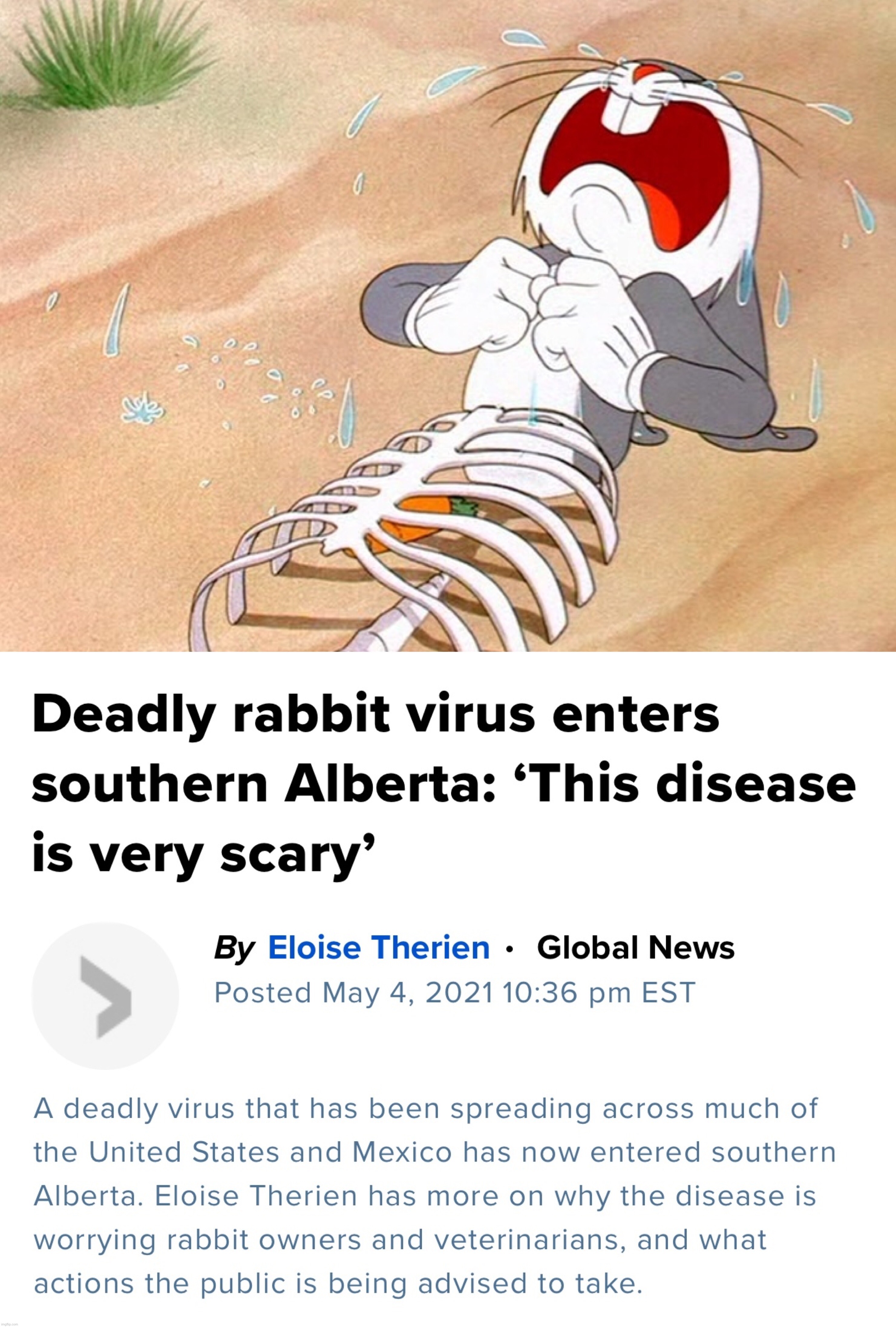Oh no, so they will want to vaxx the wabbits? | image tagged in anti-vaxx,vaccines,rabbits,bugs bunny,virus,canada | made w/ Imgflip meme maker