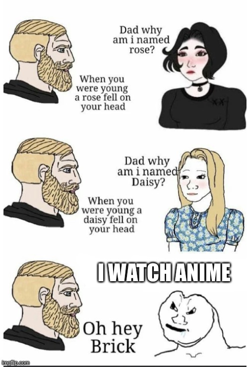 oh hey brick |  I WATCH ANIME | image tagged in anime sucks,anime is trash,no anime allowed,anime,anime is dumb,oh hey brick | made w/ Imgflip meme maker
