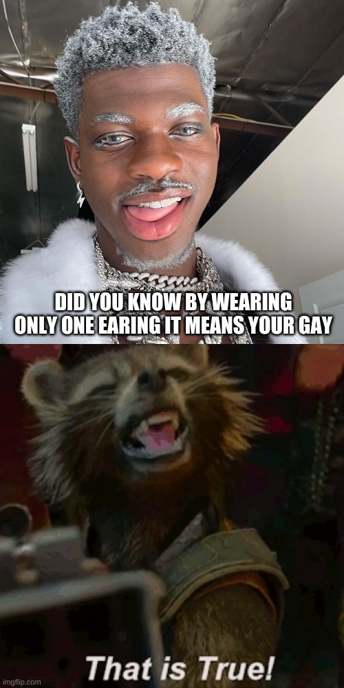 it is true | DID YOU KNOW BY WEARING ONLY ONE EARING IT MEANS YOUR GAY | image tagged in that is true rocket,true memes,memes,funny memes,marvel,lol | made w/ Imgflip meme maker