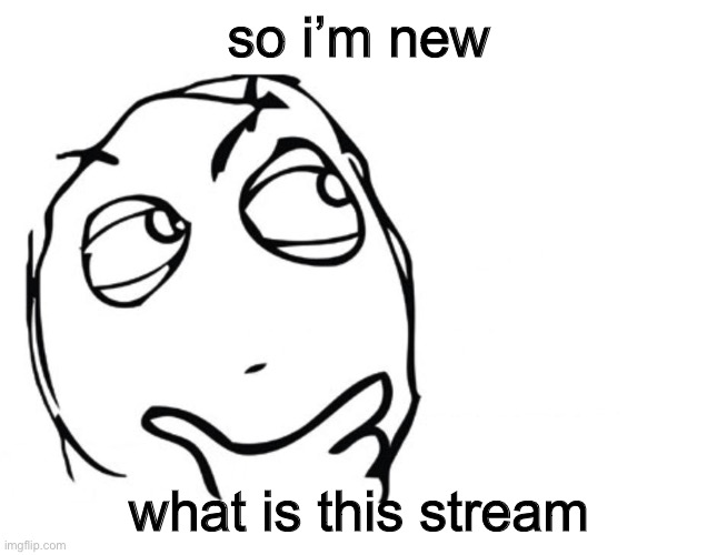 hmmm | so i’m new; what is this stream | image tagged in hmmm | made w/ Imgflip meme maker