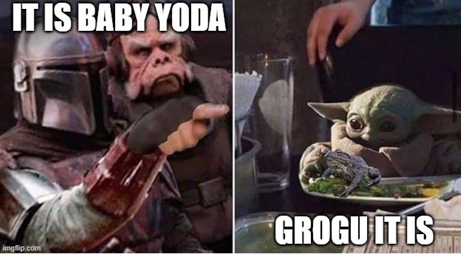 Baby Yoda Grogu | IT IS BABY YODA; GROGU IT IS | image tagged in baby yoda,grogu,star wars,woman yelling at cat | made w/ Imgflip meme maker