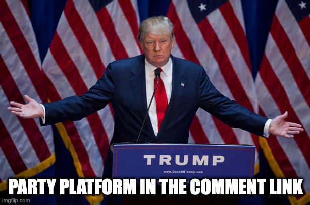Donald Trump | PARTY PLATFORM IN THE COMMENT LINK | image tagged in donald trump | made w/ Imgflip meme maker