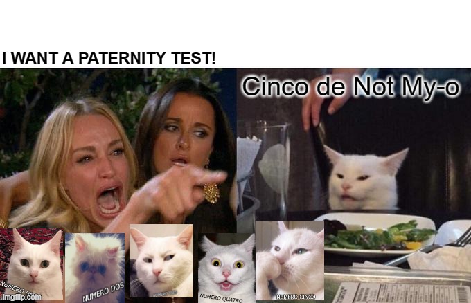 Cinco de not My-o | I WANT A PATERNITY TEST! Cinco de Not My-o | image tagged in memes,woman yelling at cat | made w/ Imgflip meme maker