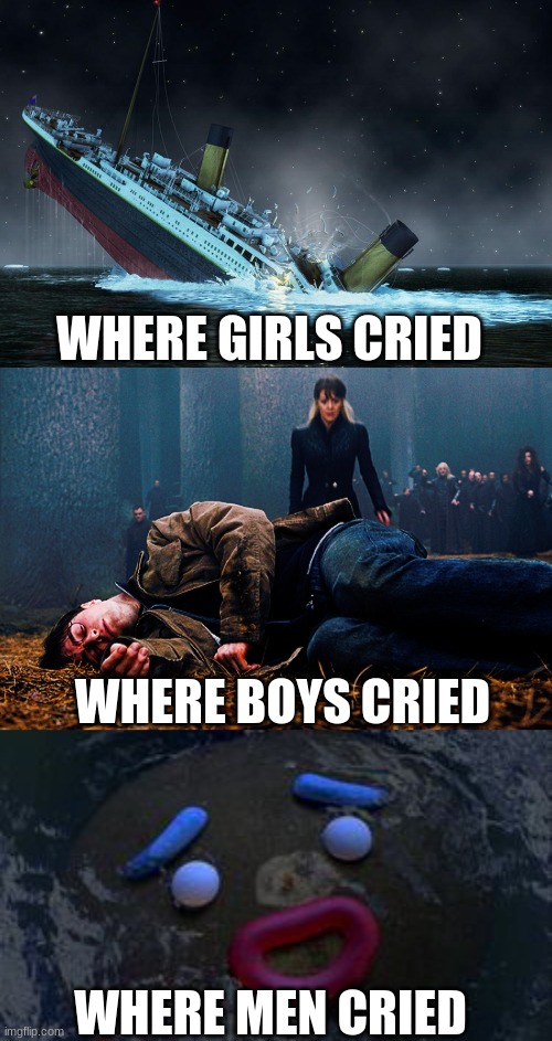 a forgotten hero, he was | WHERE GIRLS CRIED; WHERE BOYS CRIED; WHERE MEN CRIED | image tagged in funny,memes,funny memes,shrek,barney will eat all of your delectable biscuits,gingerbread man | made w/ Imgflip meme maker