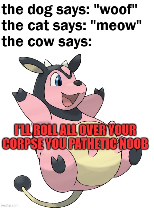 What does the cow say? | the dog says: "woof"
the cat says: "meow"
the cow says:; I'LL ROLL ALL OVER YOUR CORPSE YOU PATHETIC NOOB | image tagged in evil cows,miltank,pokemon,death battle,cats,dogs | made w/ Imgflip meme maker