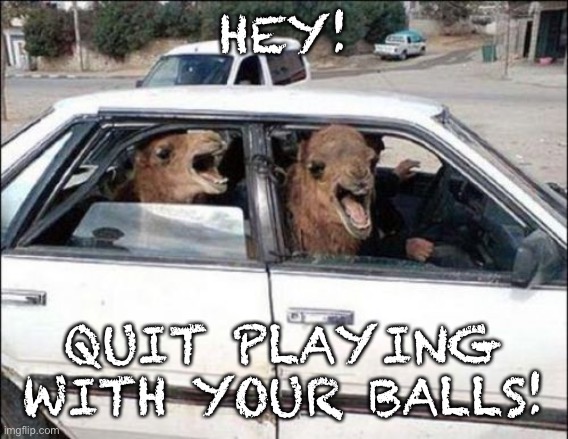 Quit Hatin Meme | HEY! QUIT PLAYING WITH YOUR BALLS! | image tagged in memes,quit hatin | made w/ Imgflip meme maker