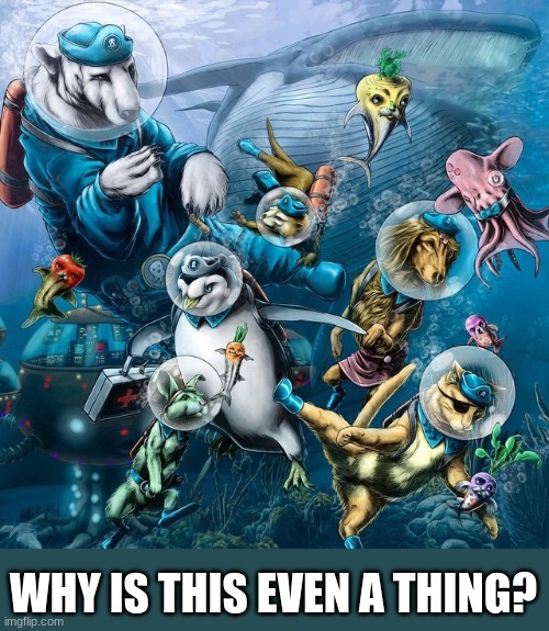 E | WHY IS THIS EVEN A THING? | made w/ Imgflip meme maker