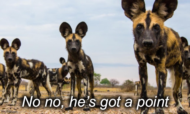 African wild dogs | No no, he’s got a point | image tagged in african wild dogs | made w/ Imgflip meme maker