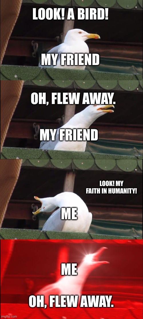 *creative title* | LOOK! A BIRD! MY FRIEND; OH, FLEW AWAY. MY FRIEND; ME; LOOK! MY FAITH IN HUMANITY! ME; OH, FLEW AWAY. | image tagged in memes,inhaling seagull,faith in humanity,lol | made w/ Imgflip meme maker