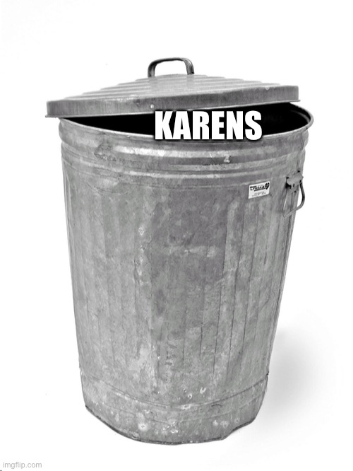 Trash Can |  KARENS | image tagged in trash can | made w/ Imgflip meme maker
