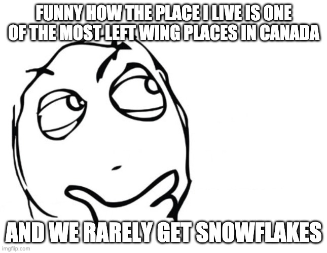(the cold kind) | FUNNY HOW THE PLACE I LIVE IS ONE OF THE MOST LEFT WING PLACES IN CANADA; AND WE RARELY GET SNOWFLAKES | image tagged in hmmm | made w/ Imgflip meme maker