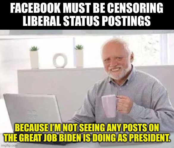 Must be censorship | FACEBOOK MUST BE CENSORING LIBERAL STATUS POSTINGS; BECAUSE I’M NOT SEEING ANY POSTS ON THE GREAT JOB BIDEN IS DOING AS PRESIDENT. | image tagged in harold | made w/ Imgflip meme maker