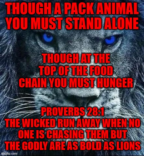 Rising Up To The Challenge Of Our Rivals | THOUGH A PACK ANIMAL YOU MUST STAND ALONE; THOUGH AT THE TOP OF THE FOOD CHAIN YOU MUST HUNGER; PROVERBS 28:1
THE WICKED RUN AWAY WHEN NO ONE IS CHASING THEM BUT THE GODLY ARE AS BOLD AS LIONS | image tagged in memes,funny,truth,lion | made w/ Imgflip meme maker