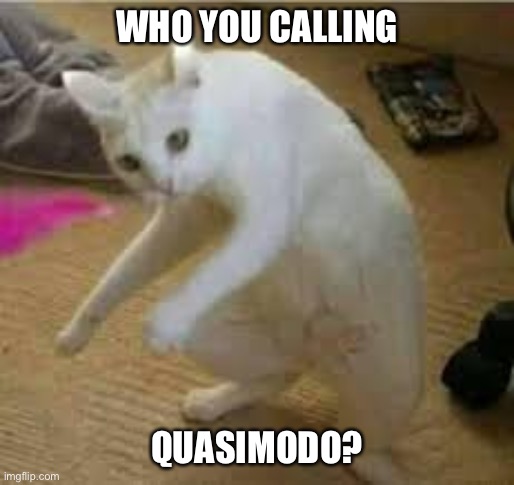 yo habia ponido | WHO YOU CALLING; QUASIMODO? | image tagged in yo habia ponido | made w/ Imgflip meme maker