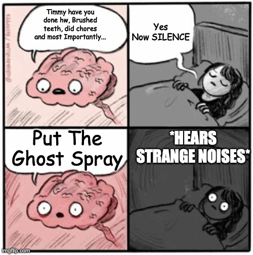 Brain Before Sleep | Yes Now SILENCE; Timmy have you done hw, Brushed teeth, did chores and most Importantly... Put The Ghost Spray; *HEARS STRANGE NOISES* | image tagged in brain before sleep | made w/ Imgflip meme maker