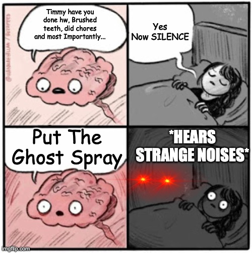 Better put that ghost spray | Yes Now SILENCE; Timmy have you done hw, Brushed teeth, did chores and most Importantly... Put The Ghost Spray; *HEARS STRANGE NOISES* | image tagged in brain before sleep | made w/ Imgflip meme maker