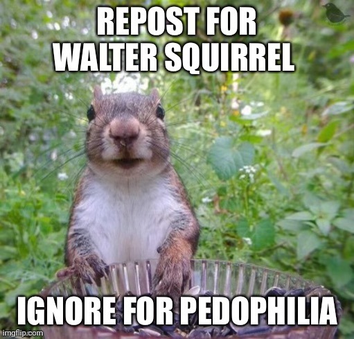 Water squirrel | made w/ Imgflip meme maker