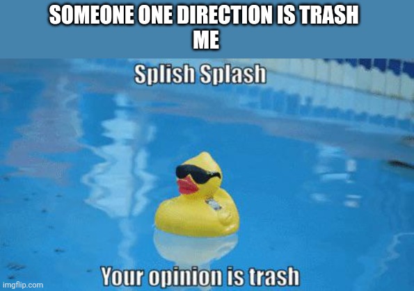 Splish Splash your opinion is trash | SOMEONE ONE DIRECTION IS TRASH 
ME | image tagged in splish splash your opinion is trash | made w/ Imgflip meme maker