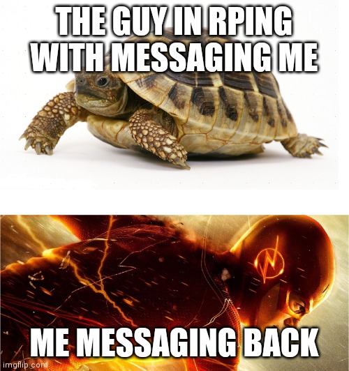 Slow vs Fast Meme | THE GUY IN RPING WITH MESSAGING ME; ME MESSAGING BACK | image tagged in slow vs fast meme | made w/ Imgflip meme maker