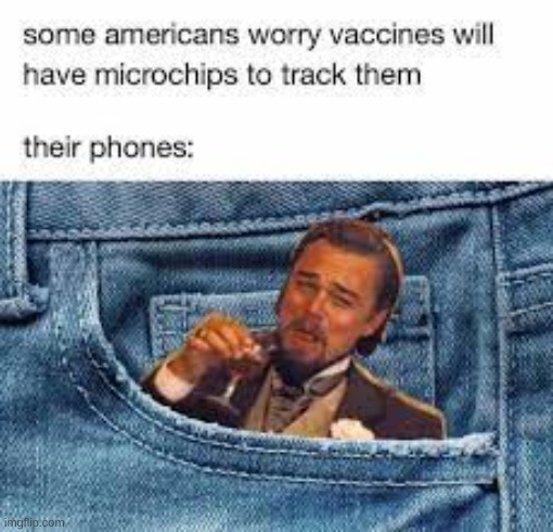 It's funny to see people in the politics stream posting about this when the device they're using is tracking them | image tagged in anti-vax,phones,stupid | made w/ Imgflip meme maker