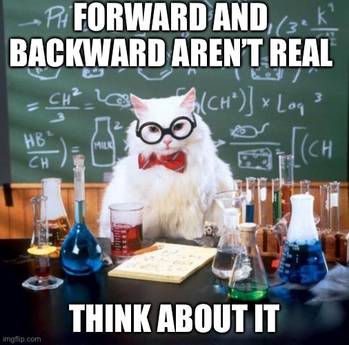 Chemistry Cat Meme | FORWARD AND BACKWARD AREN’T REAL; THINK ABOUT IT | image tagged in memes,chemistry cat | made w/ Imgflip meme maker