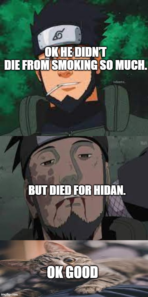 OK HE DIDN’T DIE FROM SMOKING SO MUCH. BUT DIED FOR HIDAN. OK GOOD | image tagged in asuma,hidan,como,gato,asuma morto,cigarro | made w/ Imgflip meme maker