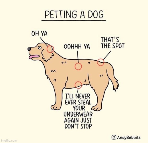 Doggo | made w/ Imgflip meme maker
