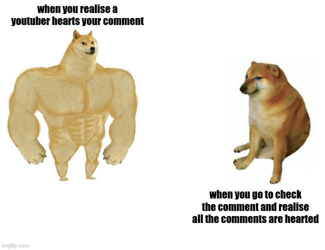 Buff Doge vs. Cheems |  when you realise a youtuber hearts your comment; when you go to check the comment and realise all the comments are hearted | image tagged in memes,buff doge vs cheems | made w/ Imgflip meme maker