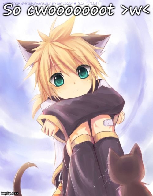 So cwooooooot >w< | made w/ Imgflip meme maker