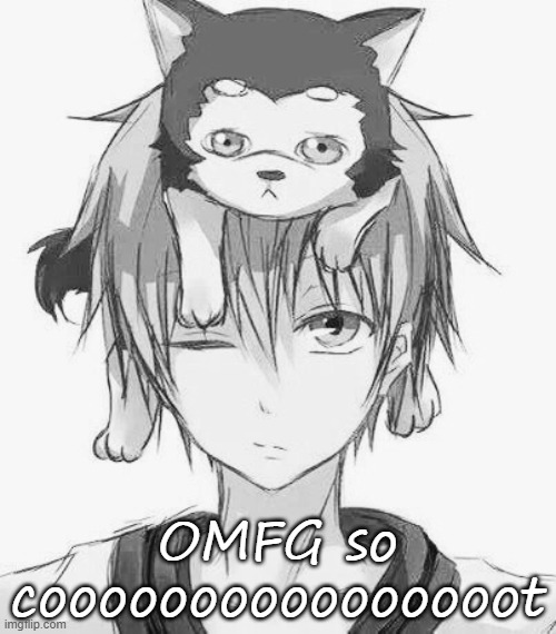 OMFG so coooooooooooooooot | made w/ Imgflip meme maker