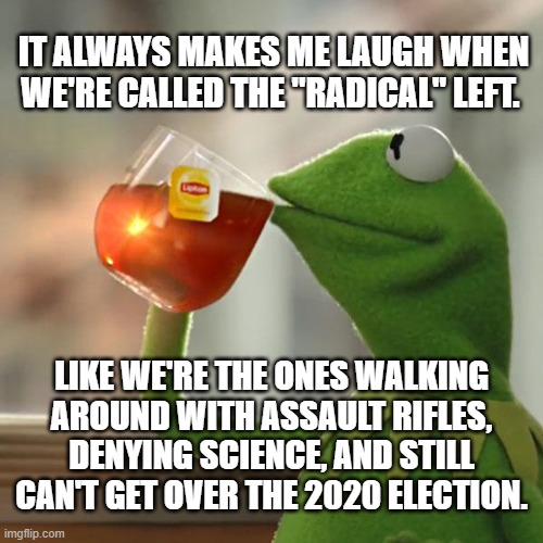 But That's None Of My Business | IT ALWAYS MAKES ME LAUGH WHEN WE'RE CALLED THE "RADICAL" LEFT. LIKE WE'RE THE ONES WALKING AROUND WITH ASSAULT RIFLES, DENYING SCIENCE, AND STILL CAN'T GET OVER THE 2020 ELECTION. | image tagged in memes,but that's none of my business,kermit the frog | made w/ Imgflip meme maker