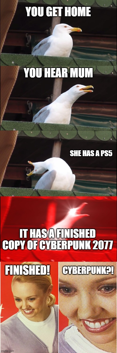 cyberpunk impossible | YOU GET HOME; YOU HEAR MUM; SHE HAS A PS5; FINISHED! IT HAS A FINISHED COPY OF CYBERPUNK 2077; CYBERPUNK?! | image tagged in memes,inhaling seagull,wait what | made w/ Imgflip meme maker