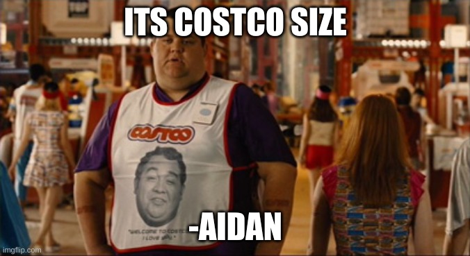 idk | ITS COSTCO SIZE; -AIDAN | image tagged in welcome to costco i love you | made w/ Imgflip meme maker