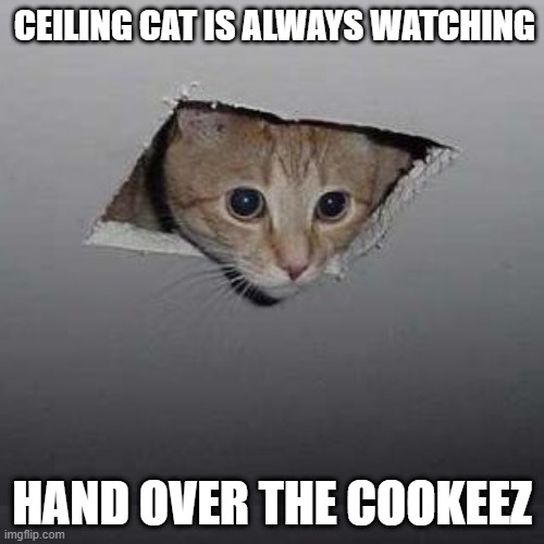 Ceiling Cat | CEILING CAT IS ALWAYS WATCHING; HAND OVER THE COOKEEZ | image tagged in memes,ceiling cat | made w/ Imgflip meme maker