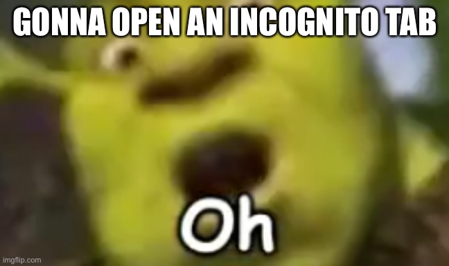 shrek oh | GONNA OPEN AN INCOGNITO TAB | image tagged in shrek oh | made w/ Imgflip meme maker