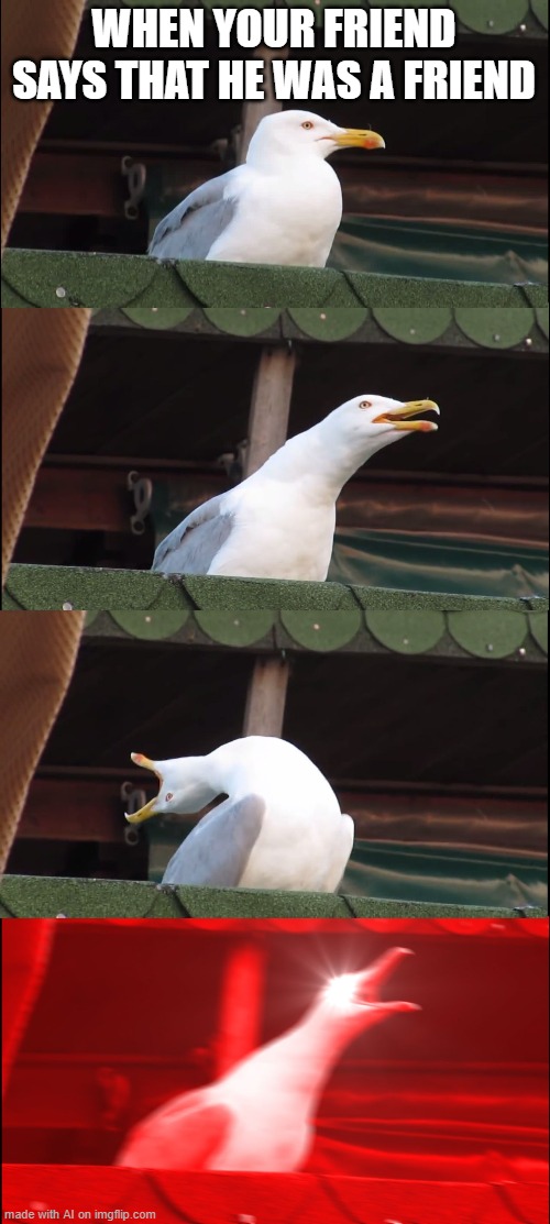 Inhaling Seagull | WHEN YOUR FRIEND SAYS THAT HE WAS A FRIEND | image tagged in memes,inhaling seagull | made w/ Imgflip meme maker