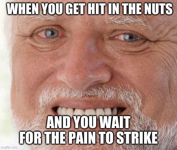 Hide the Pain Harold | WHEN YOU GET HIT IN THE NUTS; AND YOU WAIT FOR THE PAIN TO STRIKE | image tagged in hide the pain harold | made w/ Imgflip meme maker