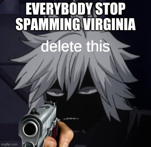 please | EVERYBODY STOP SPAMMING VIRGINIA | image tagged in shihai delete this | made w/ Imgflip meme maker