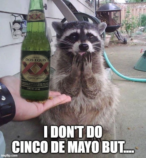 Cinco Raccoon | I DON'T DO CINCO DE MAYO BUT.... | image tagged in raccoon | made w/ Imgflip meme maker